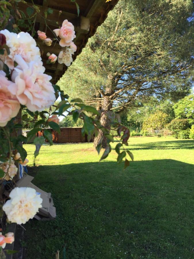 Au Mas Retz De Jade Bed & Breakfast Chauve Exterior photo