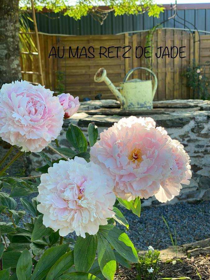 Au Mas Retz De Jade Bed & Breakfast Chauve Exterior photo