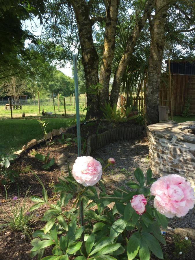 Au Mas Retz De Jade Bed & Breakfast Chauve Exterior photo